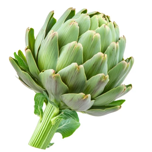 Artichoke