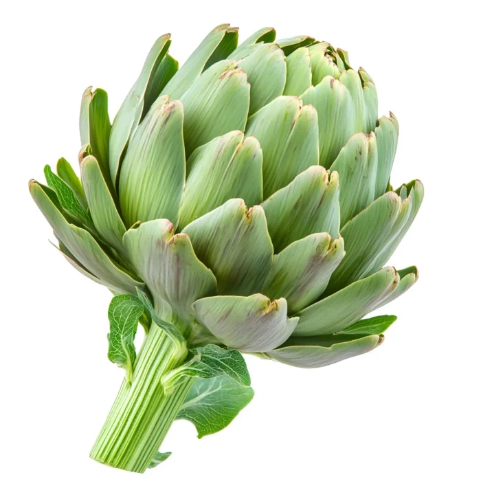 Artichoke