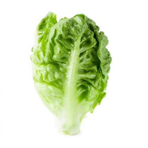 Lettuce