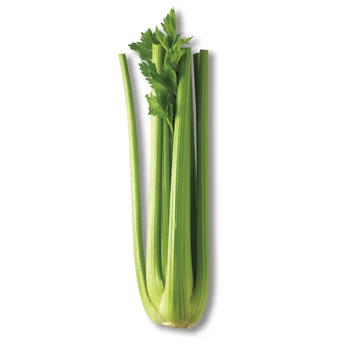 Celery
