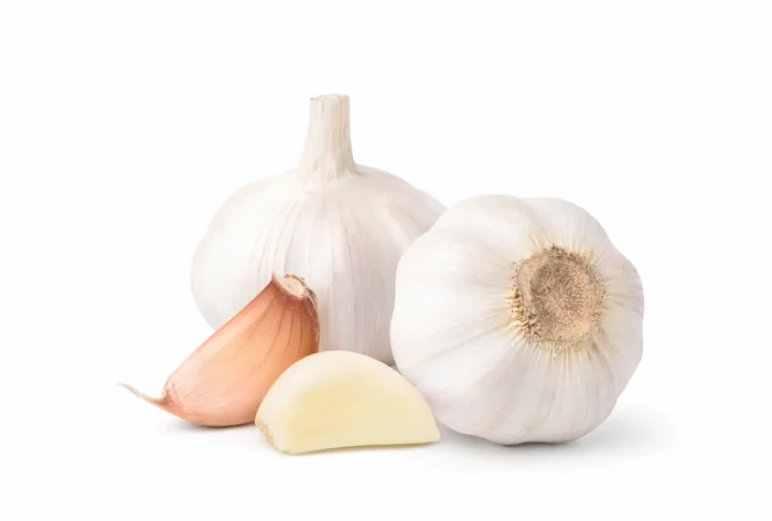 Garlic