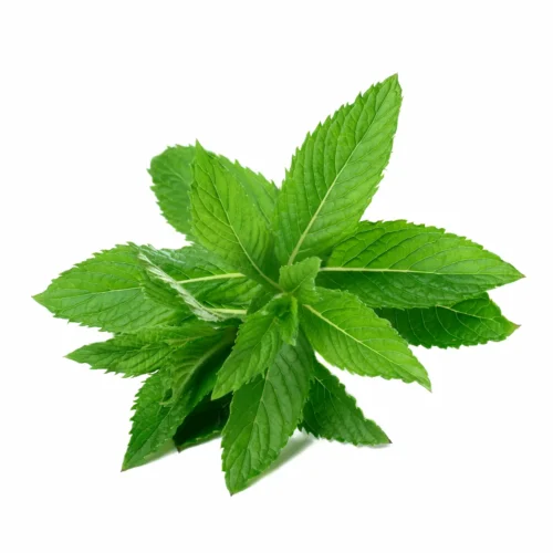 Mint