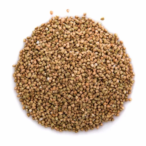 Coriander Seeds